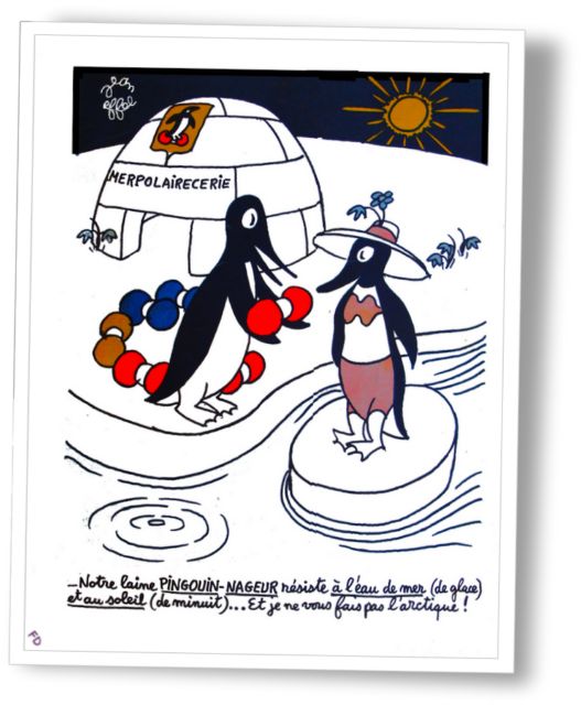 LAINES DU PINGOUIN